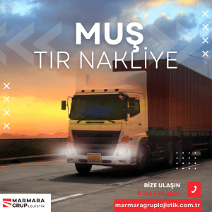 Muş Tır Nakliye